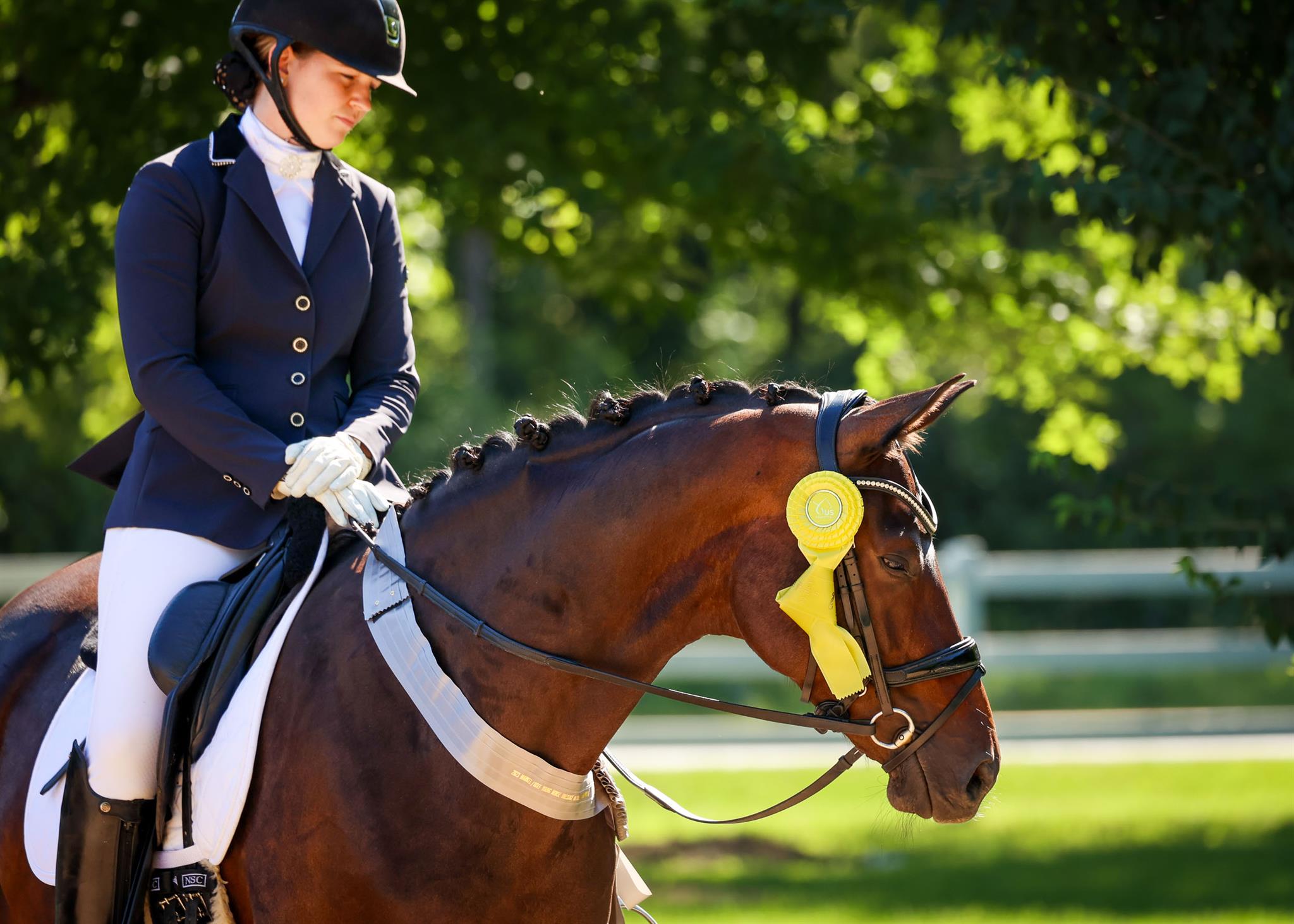 Photo showcasing the U.S. Dressage Festival of Champions