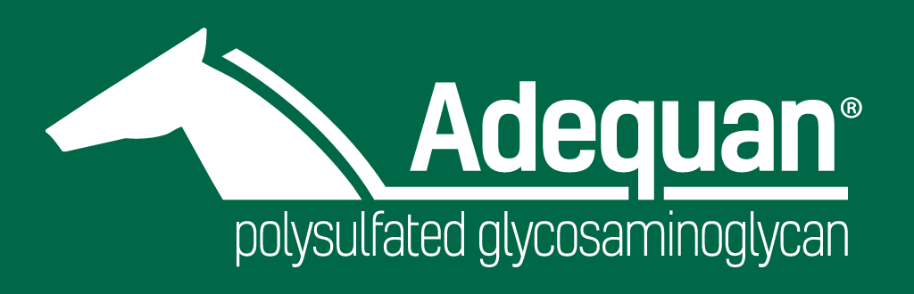 Adequan